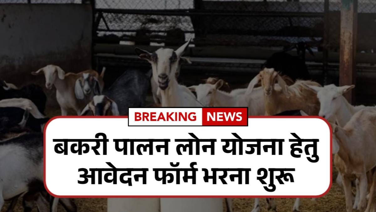 Bakri Palan Business Loan