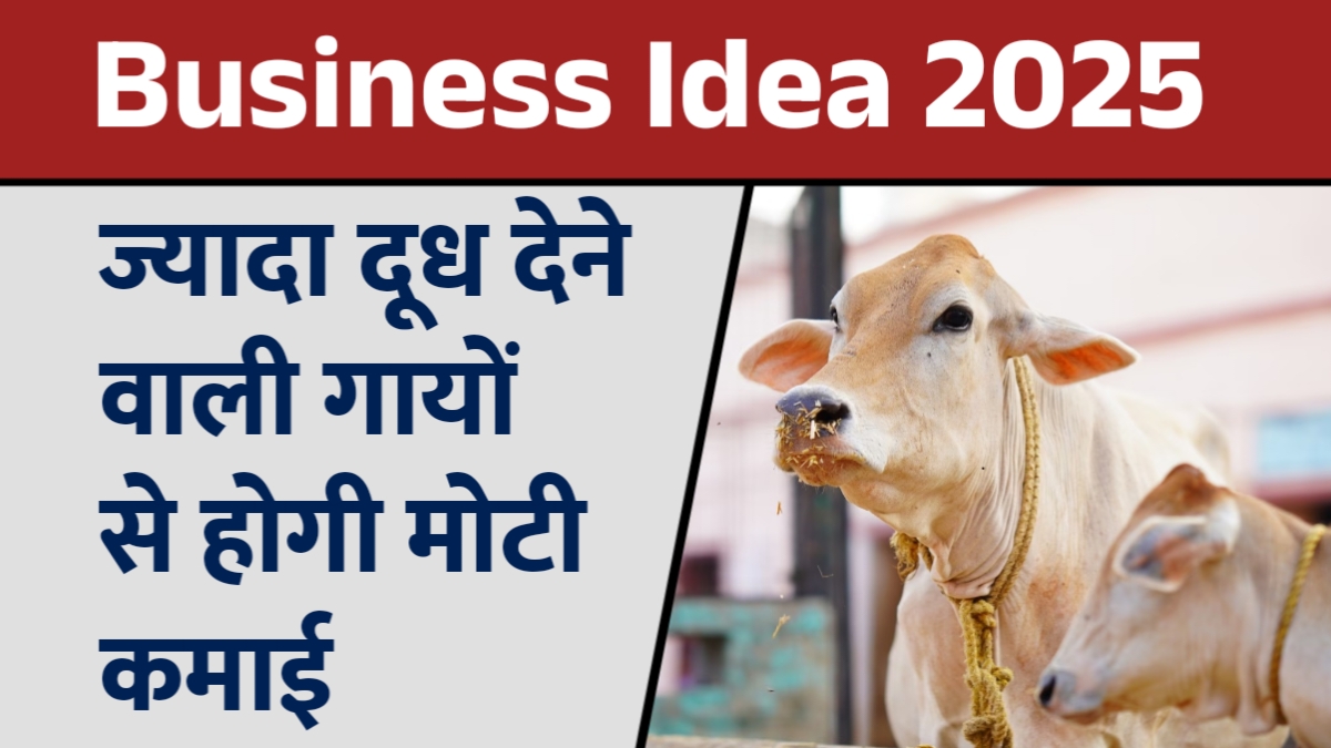 Business Idea 2025